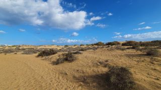 2023-GC--Mapalomas dunas-S123-090.jpg